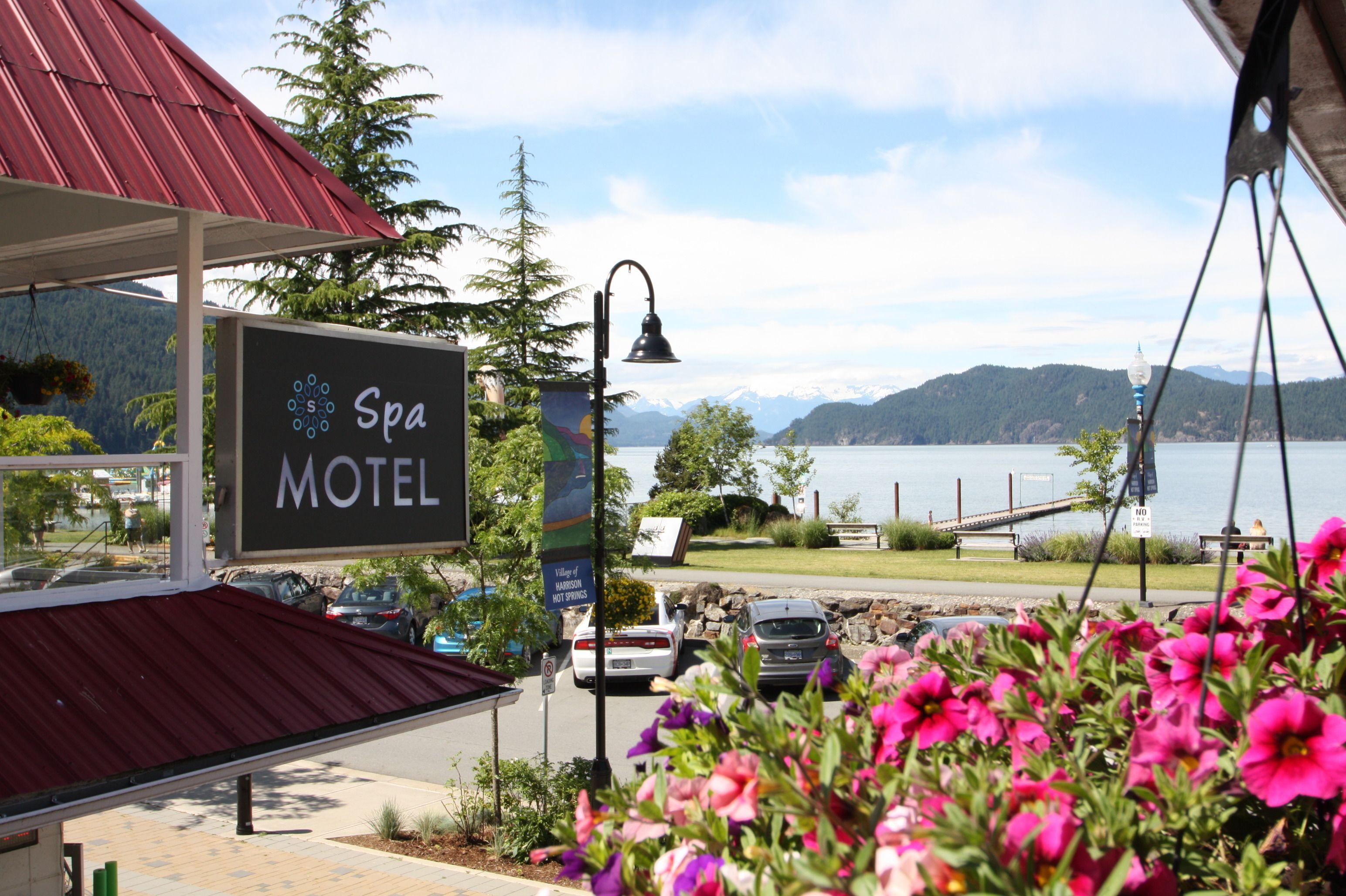6 Central Hotels Near Sasquatch Park for Easy Lake Access