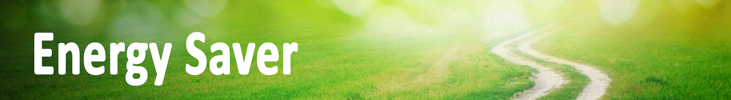 2019 Energy Saver - Fulfilling the Paris Pledge with Persistence